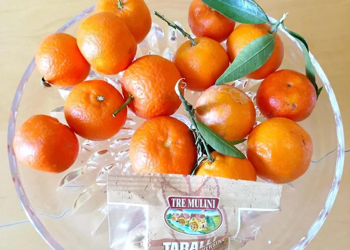 Palazzo Dei Tabacchi Appartamento