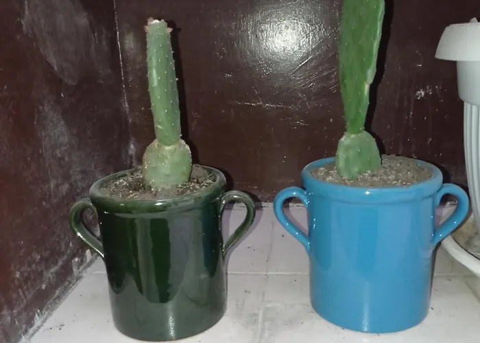 Palazzo Dei Tabacchi Apartment *