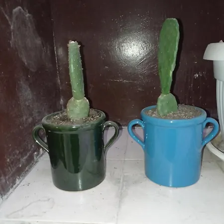 Palazzo Dei Tabacchi Апартаменти *